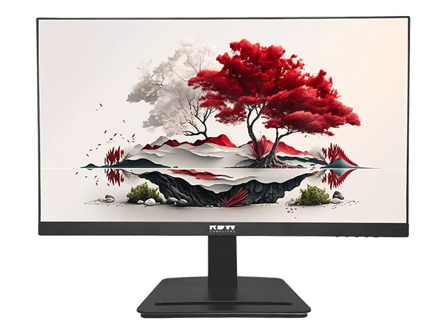 Мониторы RDW 24,5"