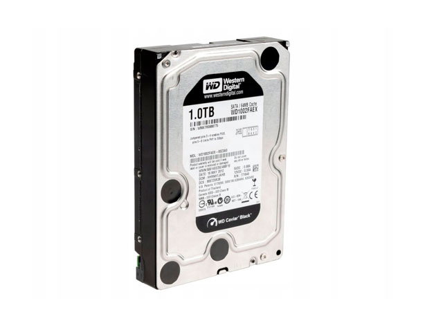WD1002FAEX